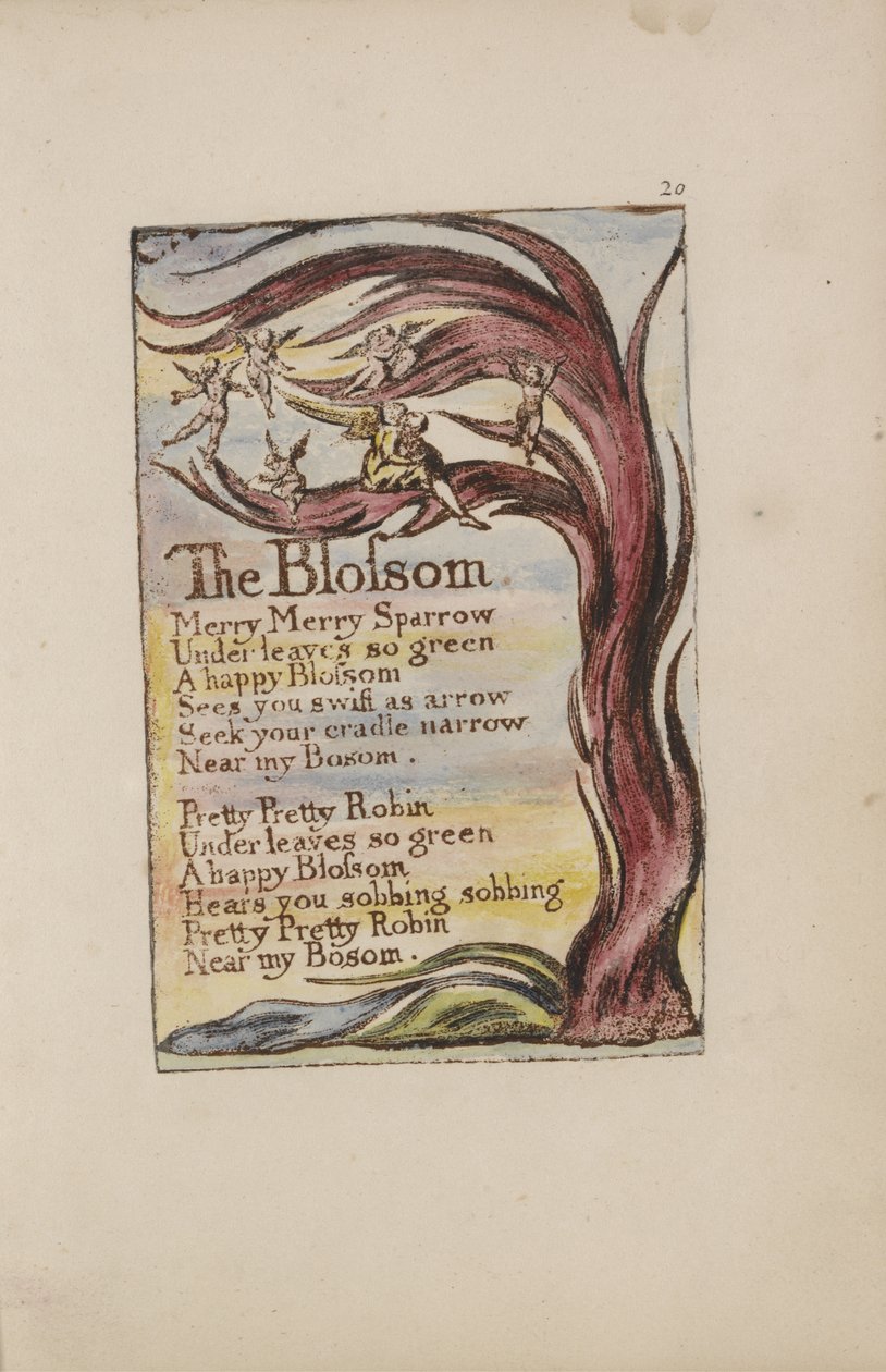 The Blossom, plate 20 from Songs of Innocence and of Experience [Bentley 11] c.1789-94 by William Blake