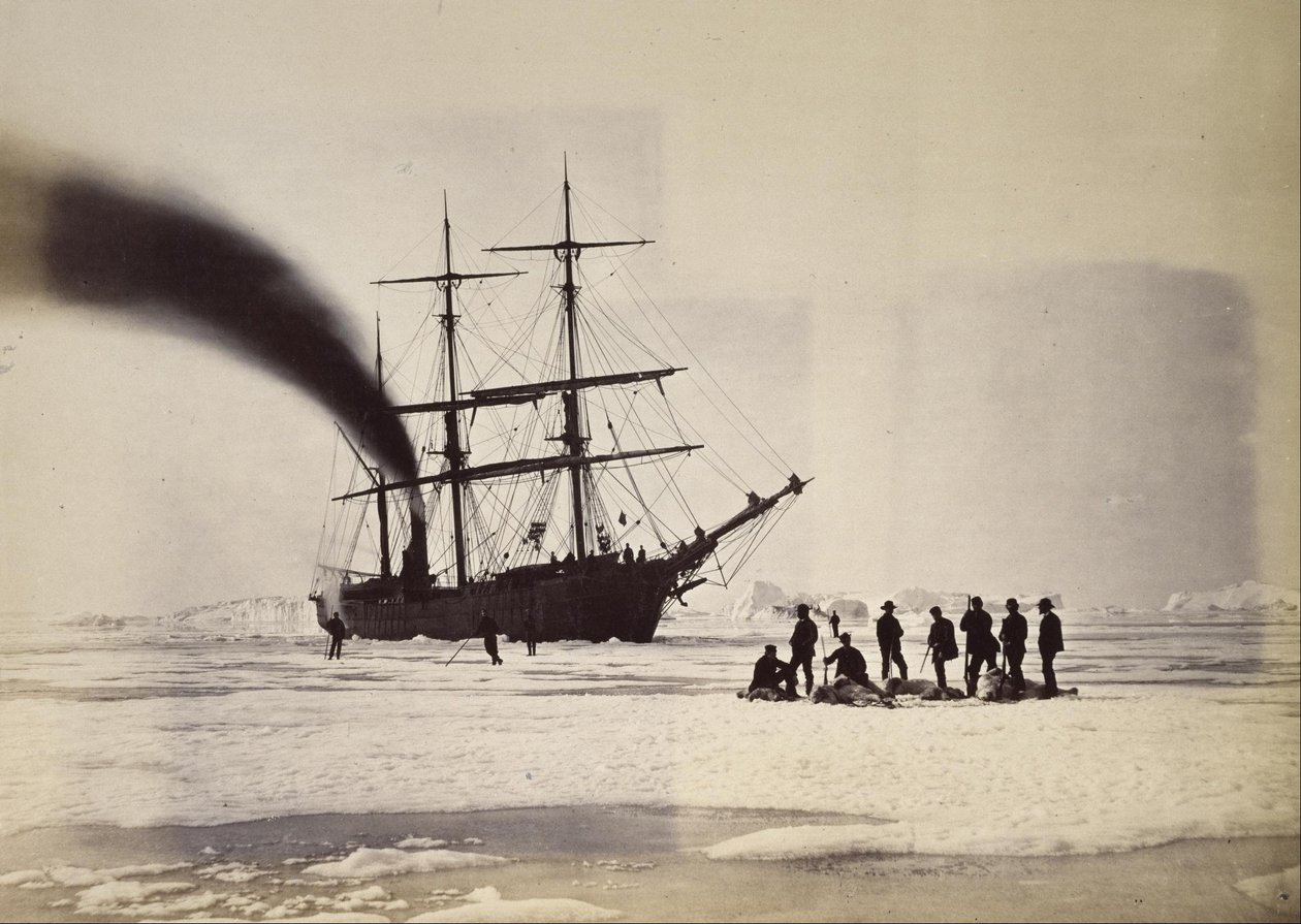 Hunting by Steam in Melville Bay by William Bradford
