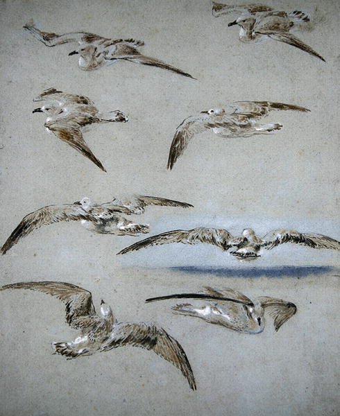 Seven Seagulls by Clarkson Frederick Stanfield