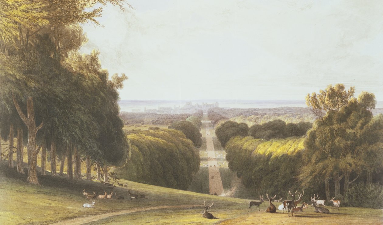 The Long Walk, Windsor Park, from a compilation of views of Windsor, Eton and Virginia Water by William Daniell