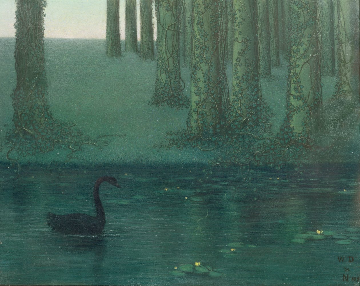 The Black Swan by William Degouve de Nuncques