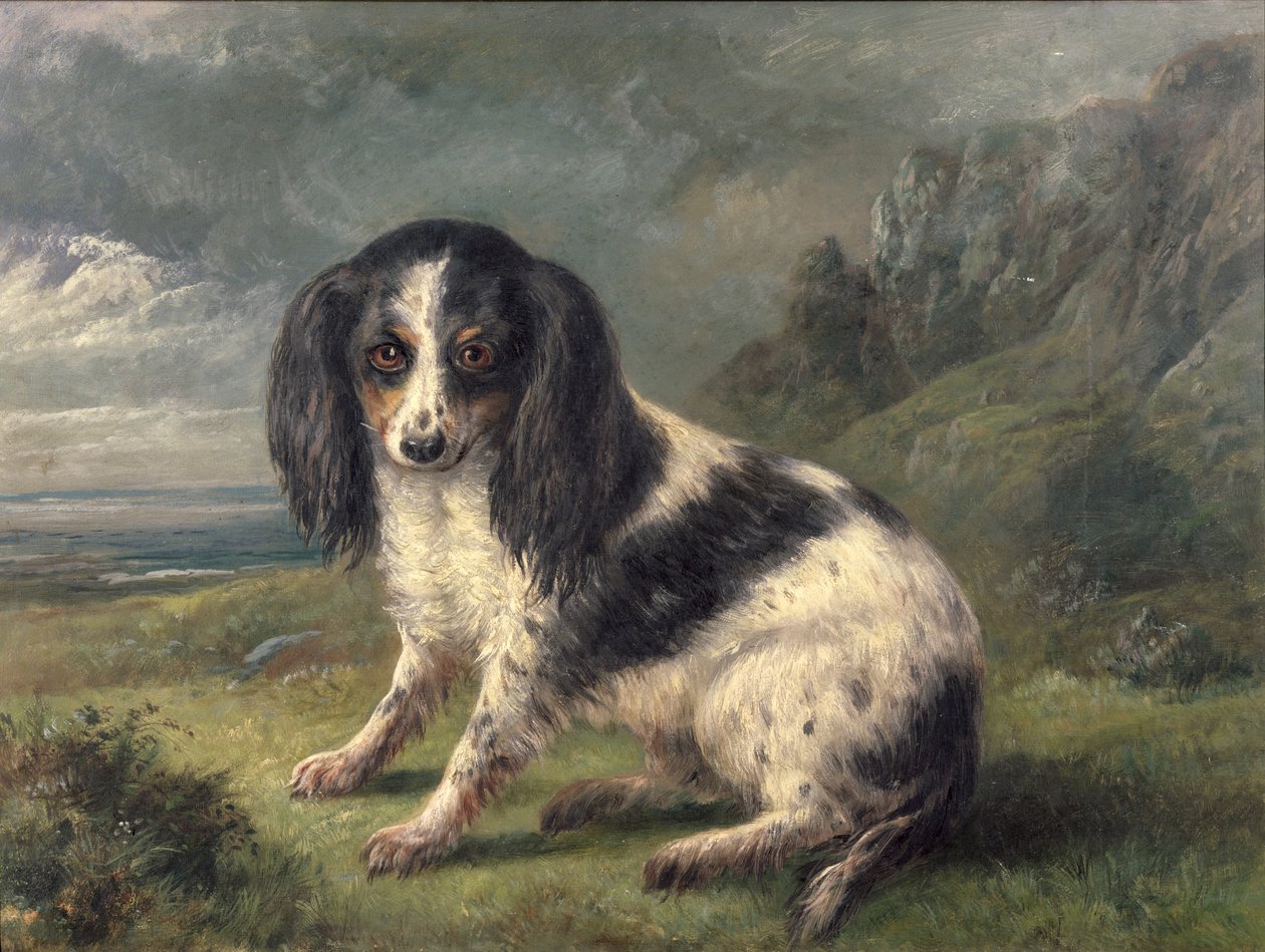 A King Charles Spaniel by William Ellis