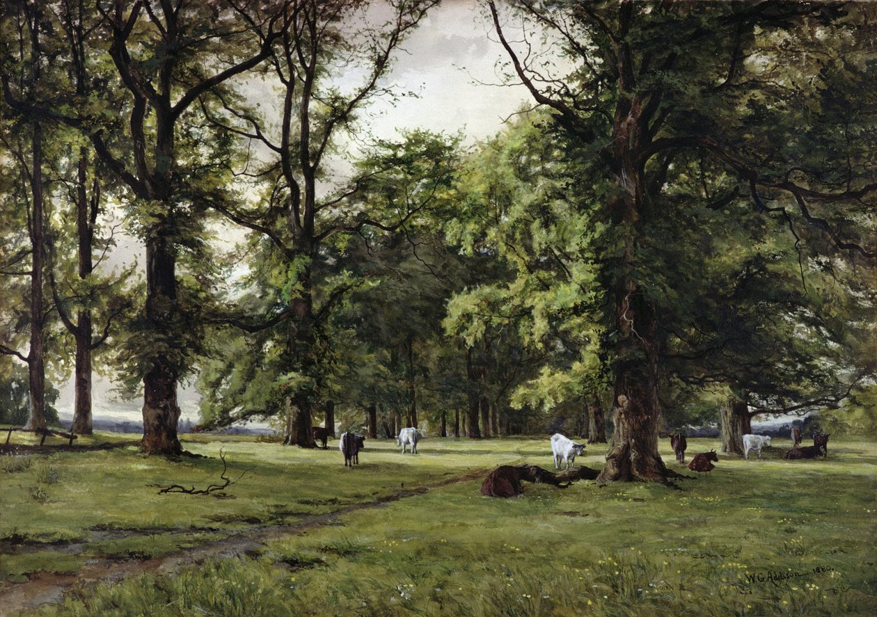The Elm Walk by William Grylls Addison