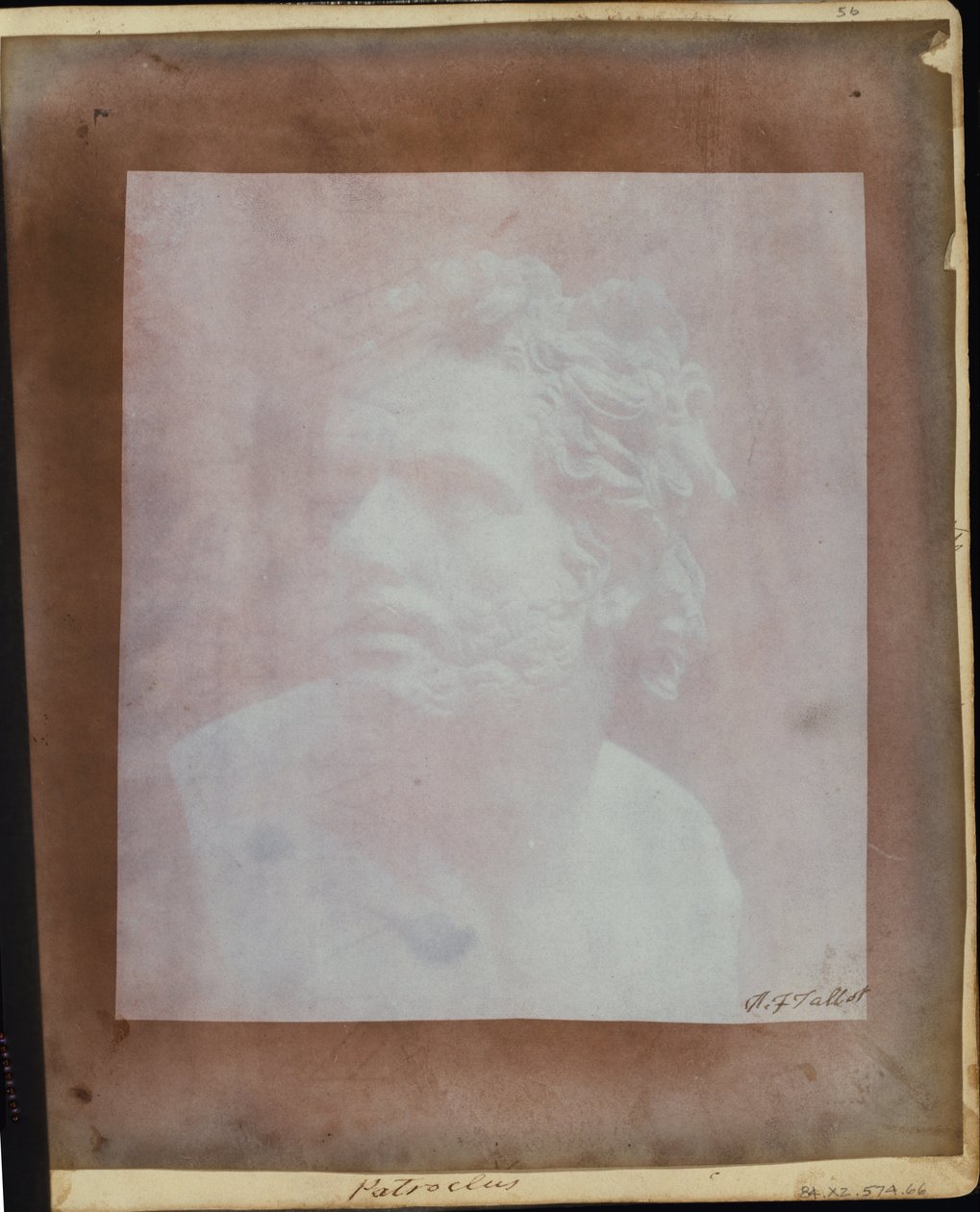 Bust of Patroclus by William Henry Fox Talbot