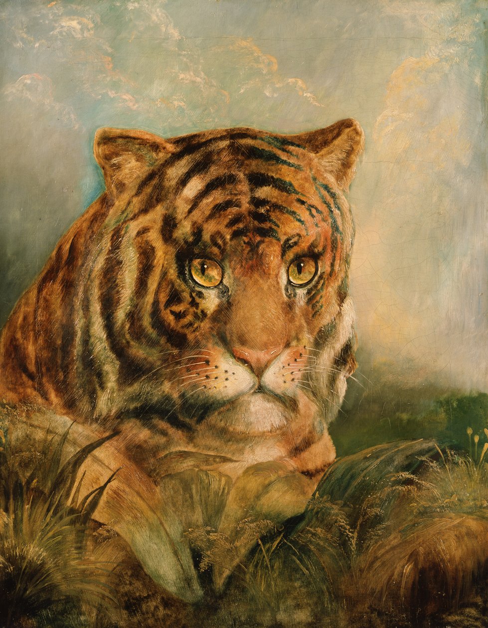 Unknown Image by William Huggins