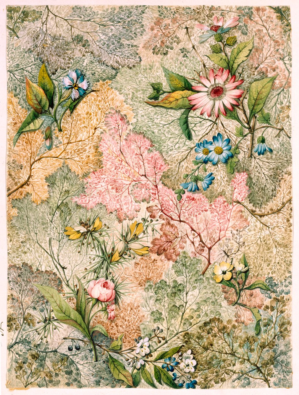 Marble End Paper by William Kilburn