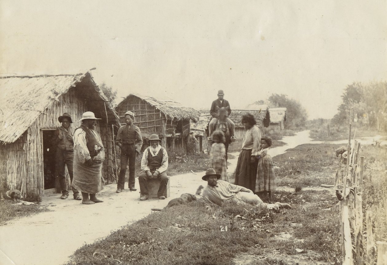 Kaiwhaiki Pa, Upokongaro, c.1895 by William Partington
