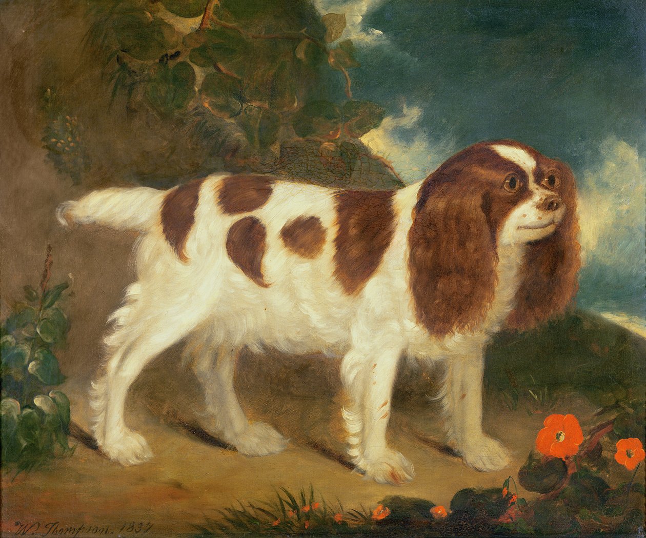 King Charles Spaniel by William Thompson