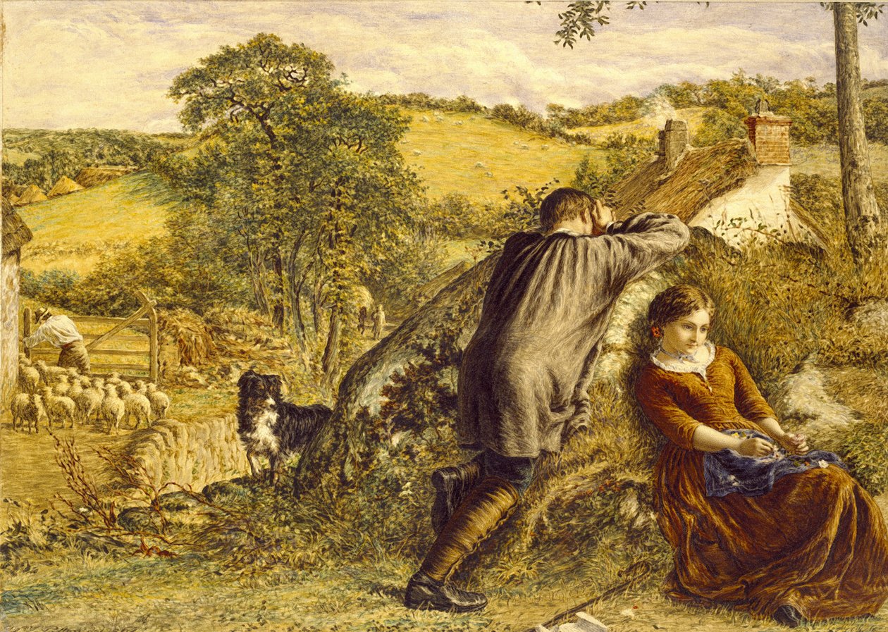 The Shepherd