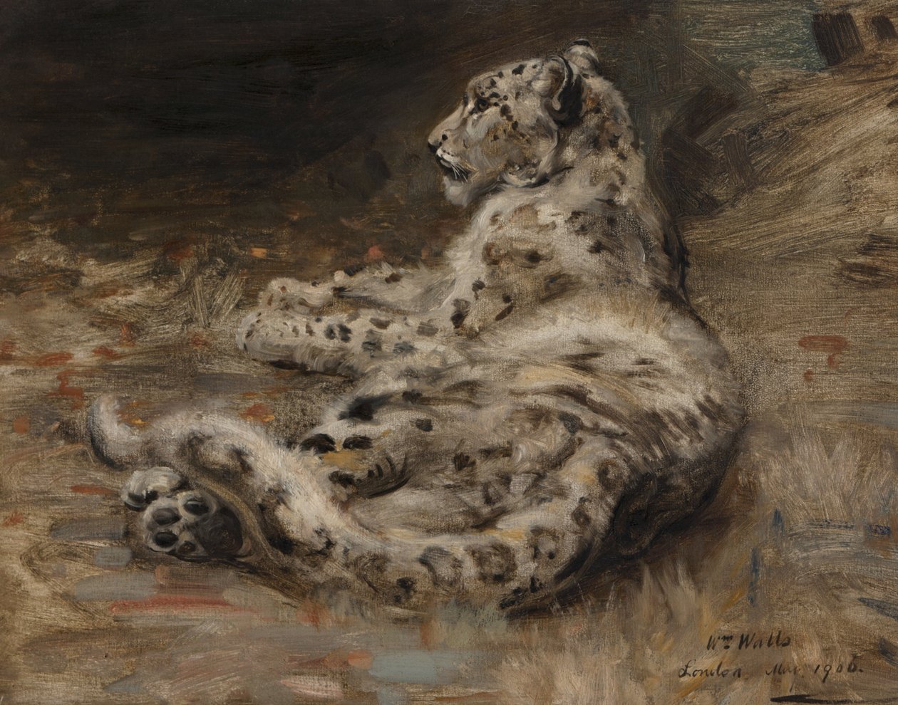 A Leopard by William Walls