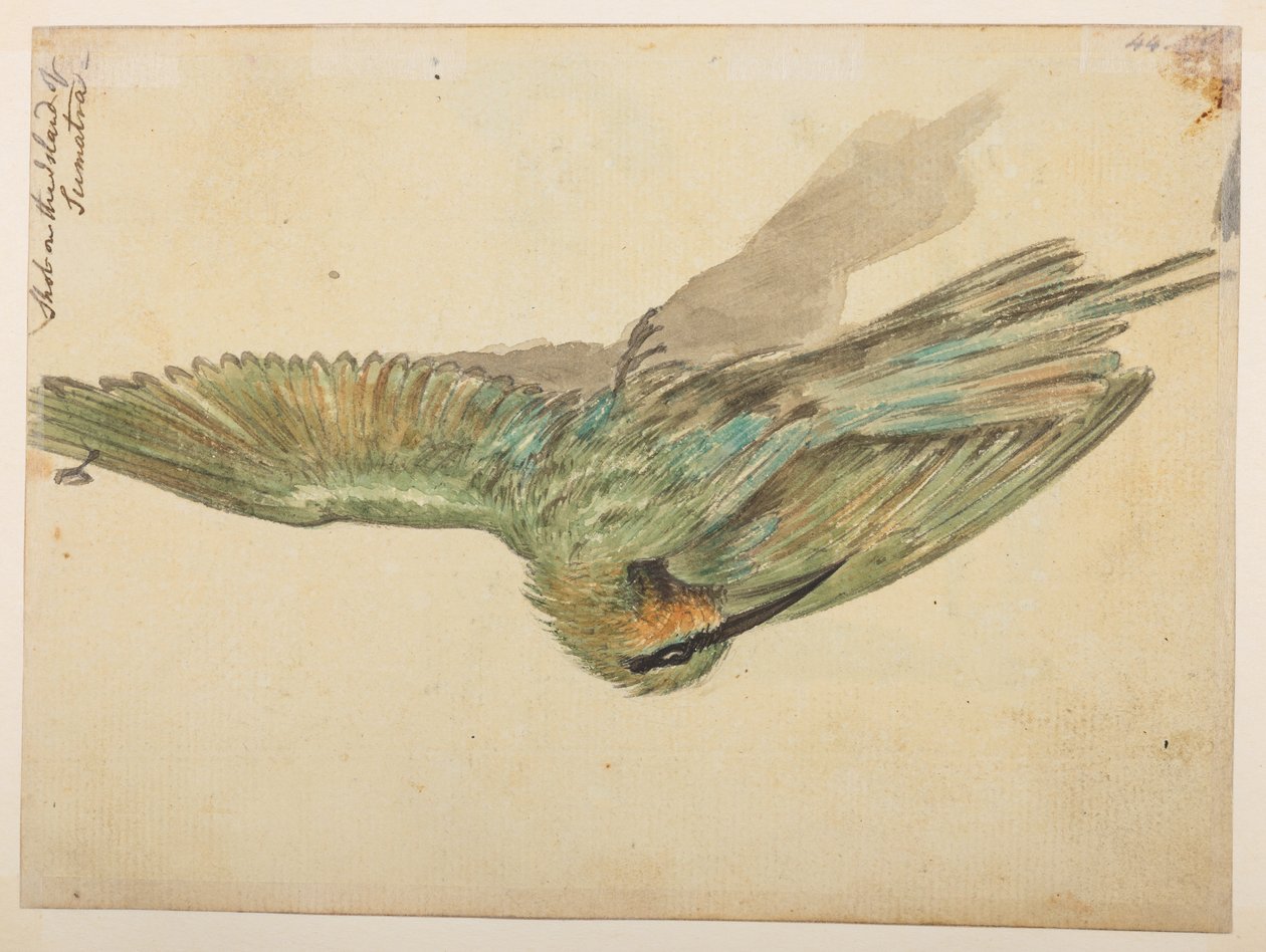 WD 959 section 2 f.076v by William Alexander