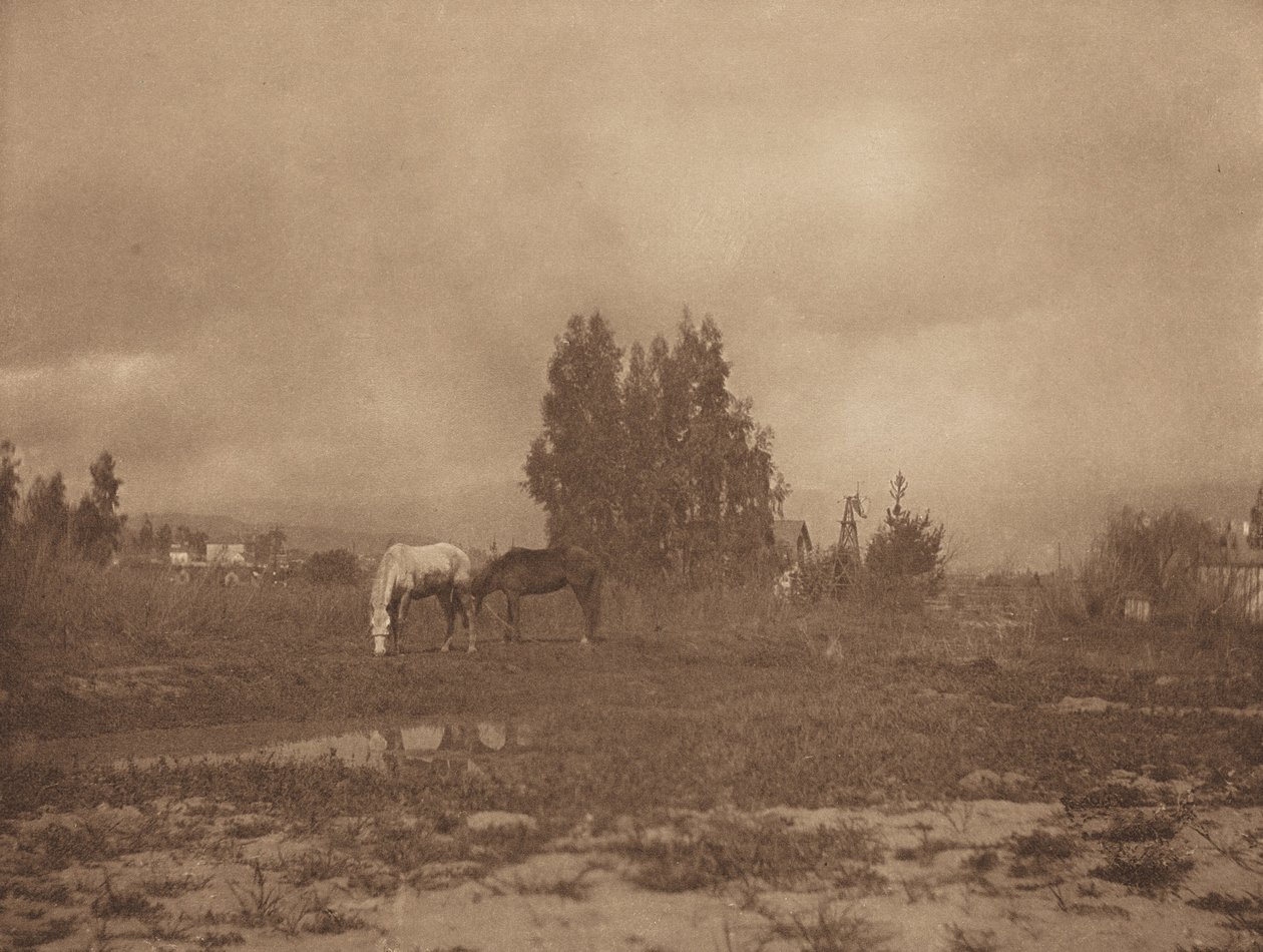 Pasadena Landscape by William B Post
