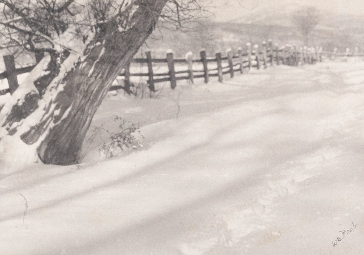 Path in the Snow by William B. Post