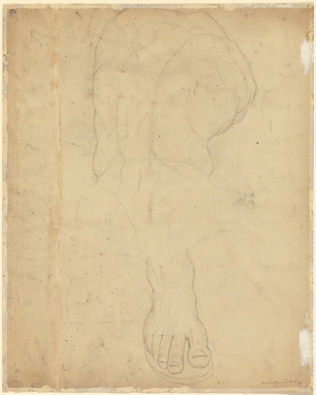 The Belvedere Torso (verso) by William Blake