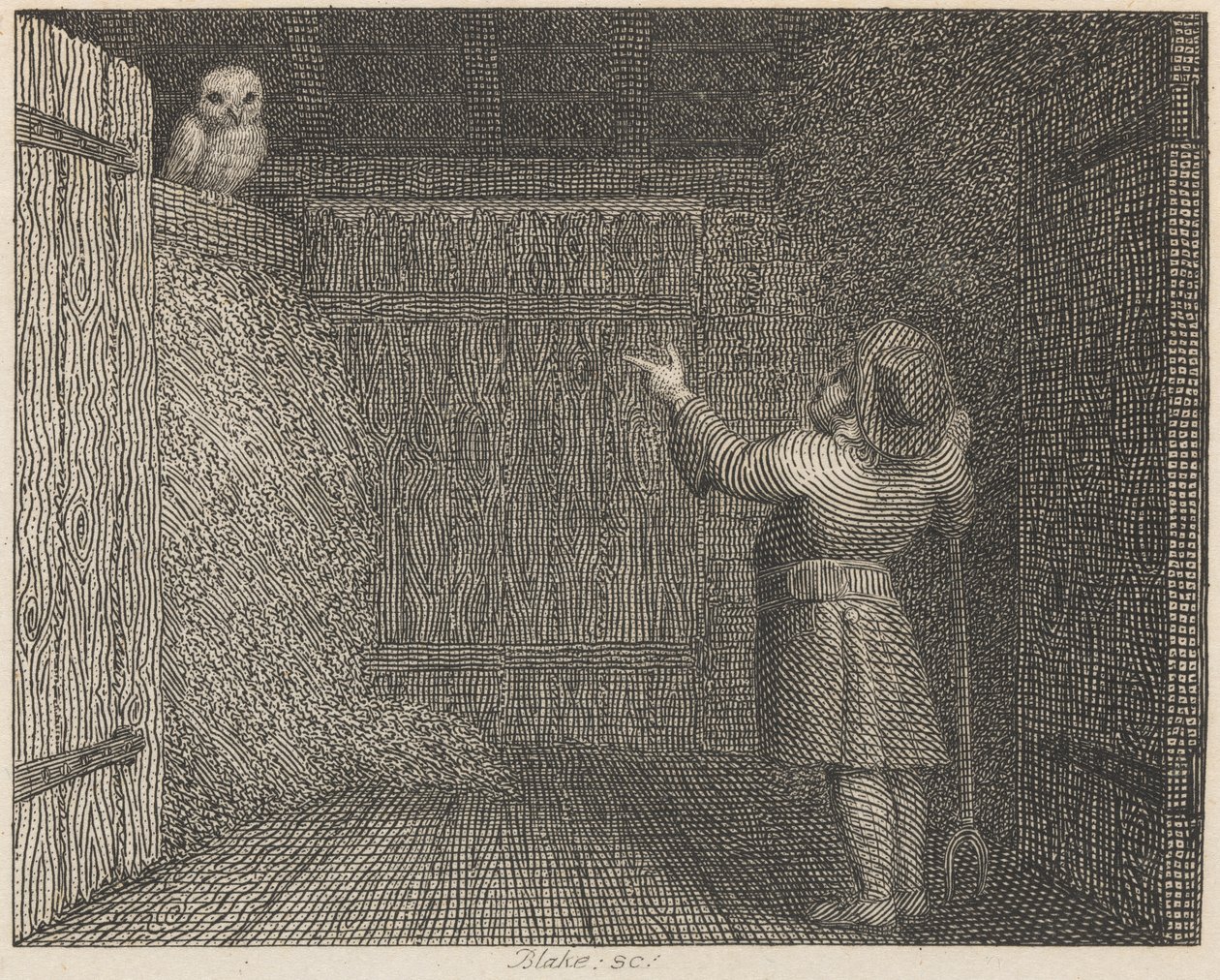 The Owl and the Farmer by William Blake