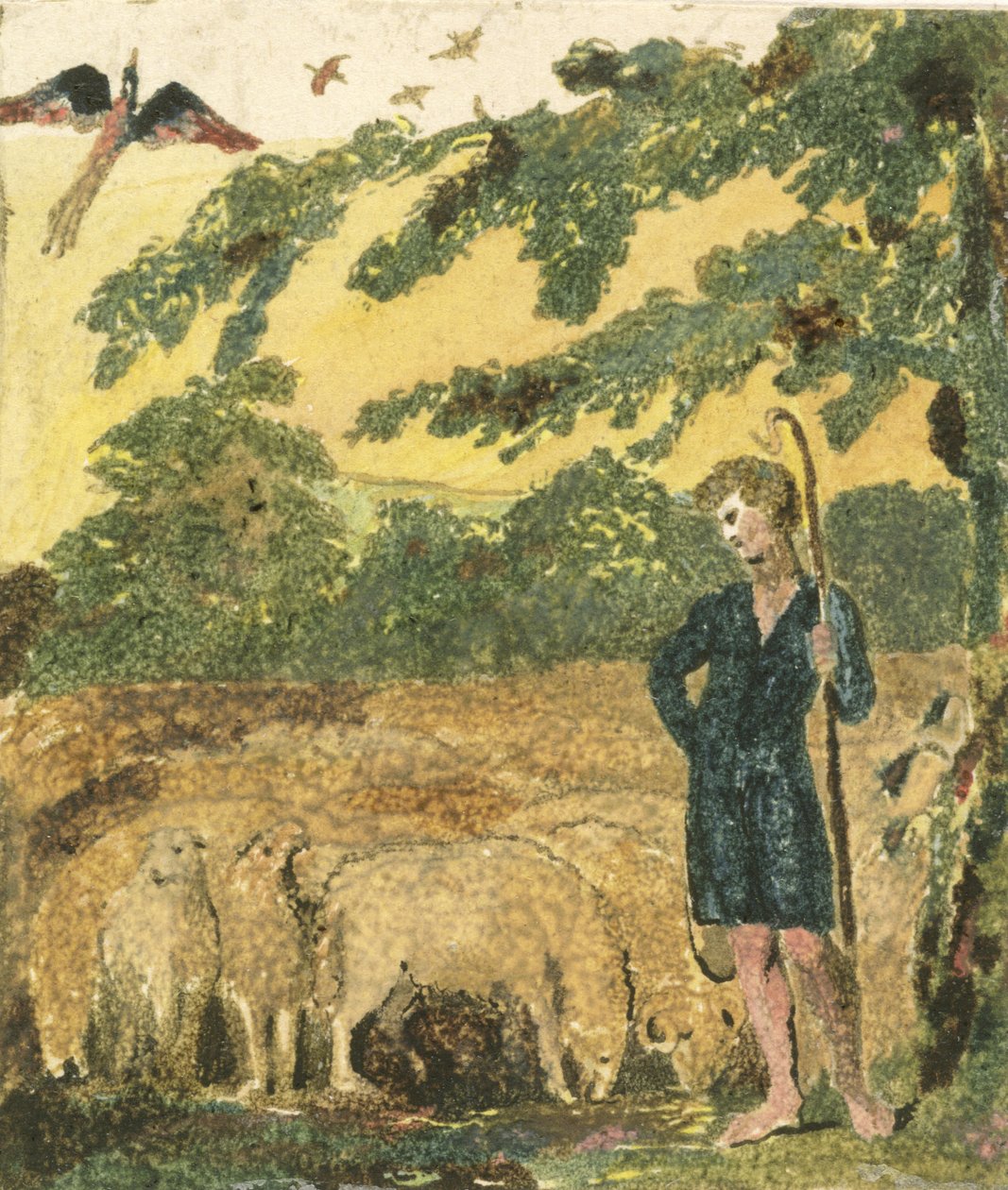 The Shepherd, from 