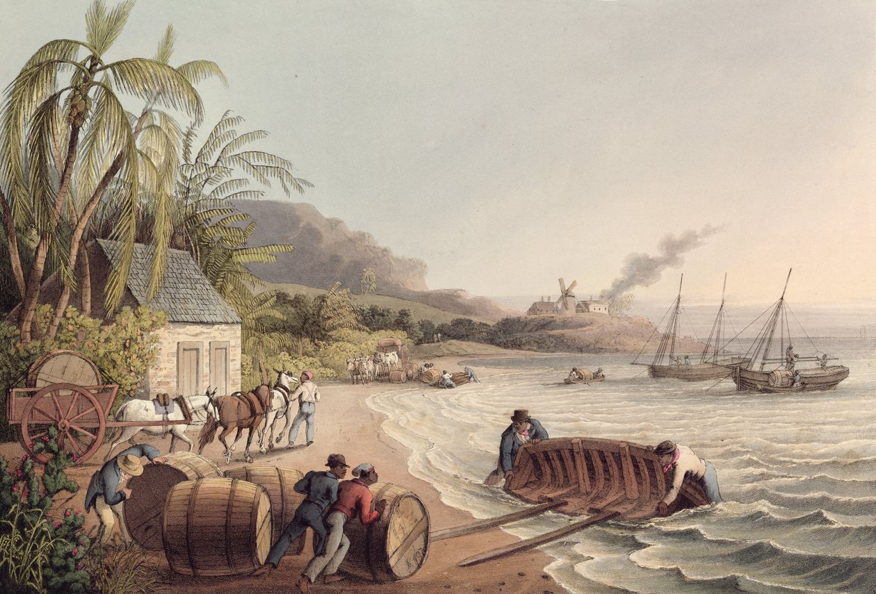 Loading Barrels of Rum and Sugar, Antigua by William Clark