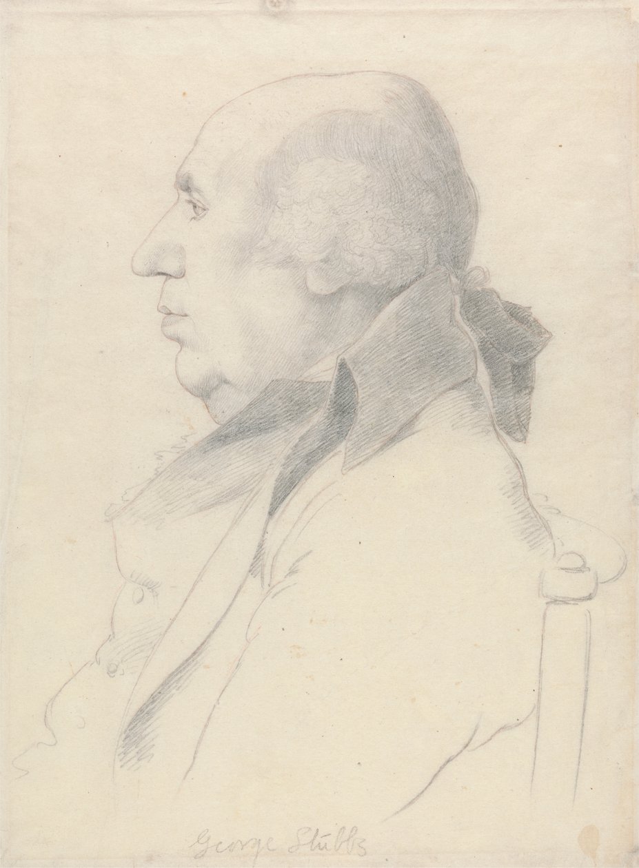 Portrait of George Stubbs by William Daniell