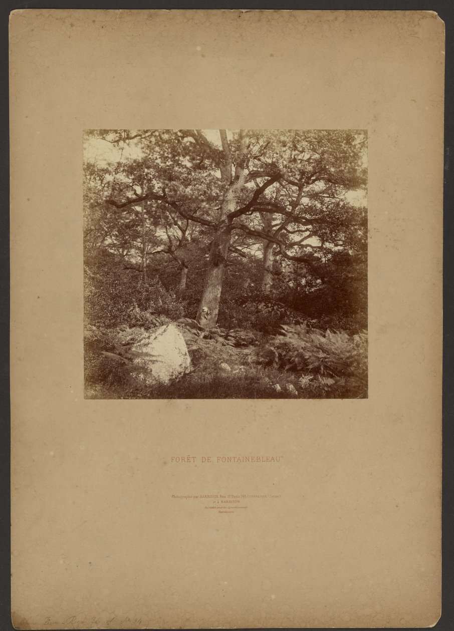 Forest of Fontainebleau by William Drooke Harrison