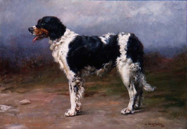 Gundog in a Landscape by William Frank Calderon