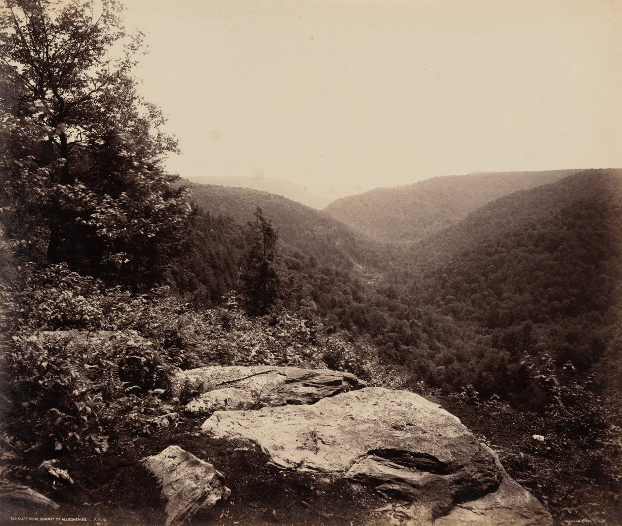 Cliff View, Summit of Alleghenies by William H. Rau