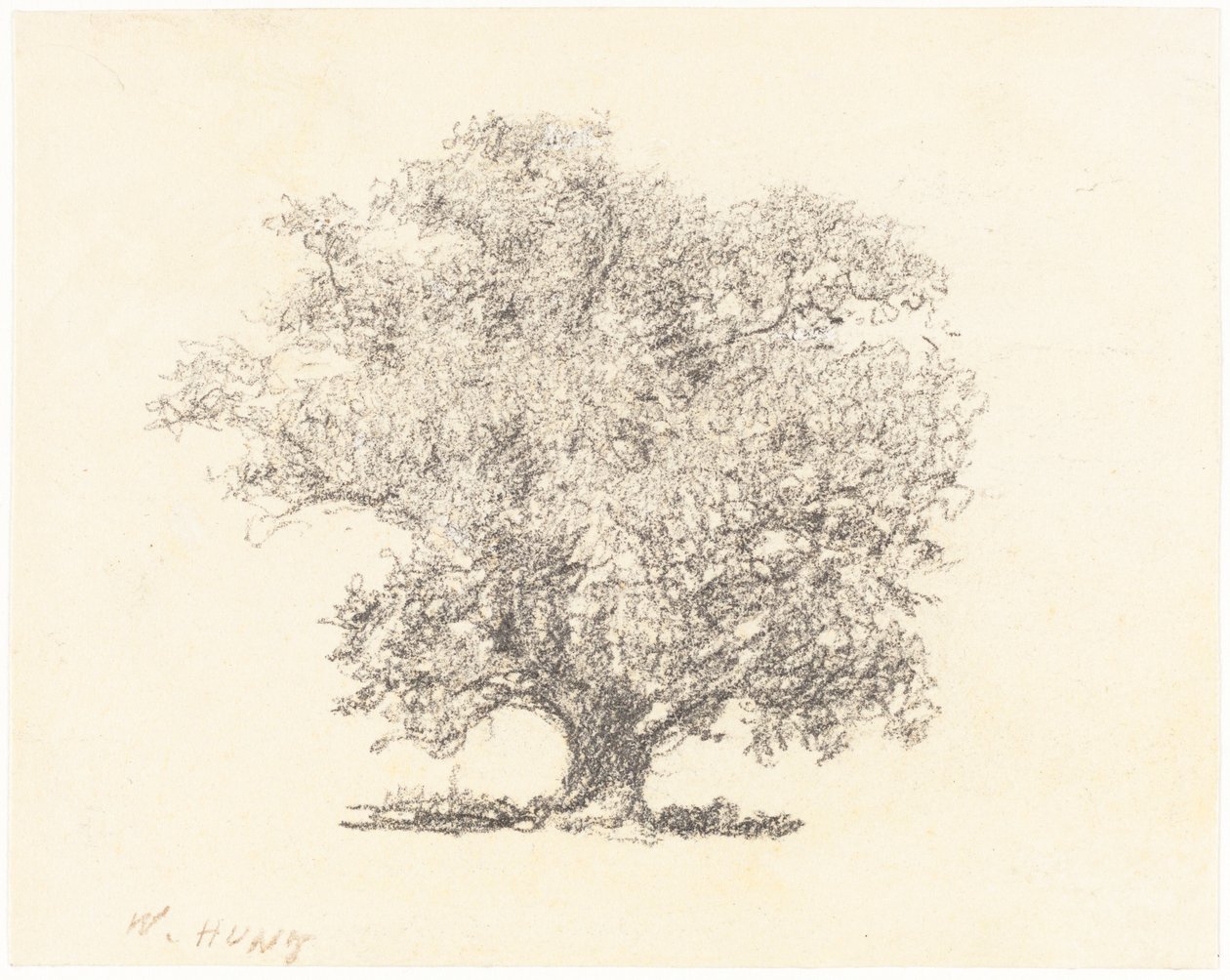 A Tree in Full-Leaf by William Henry Hunt