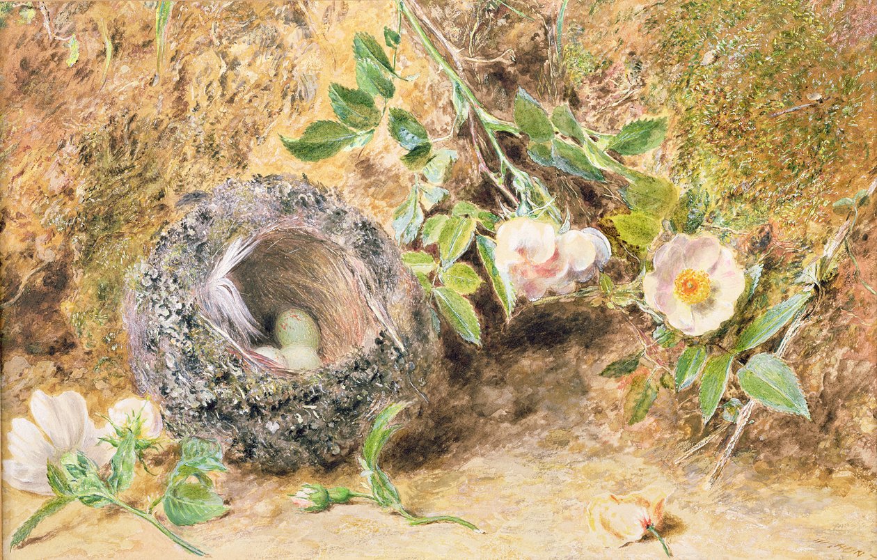 Still Life with Chaffinch Nest by William Henry Hunt
