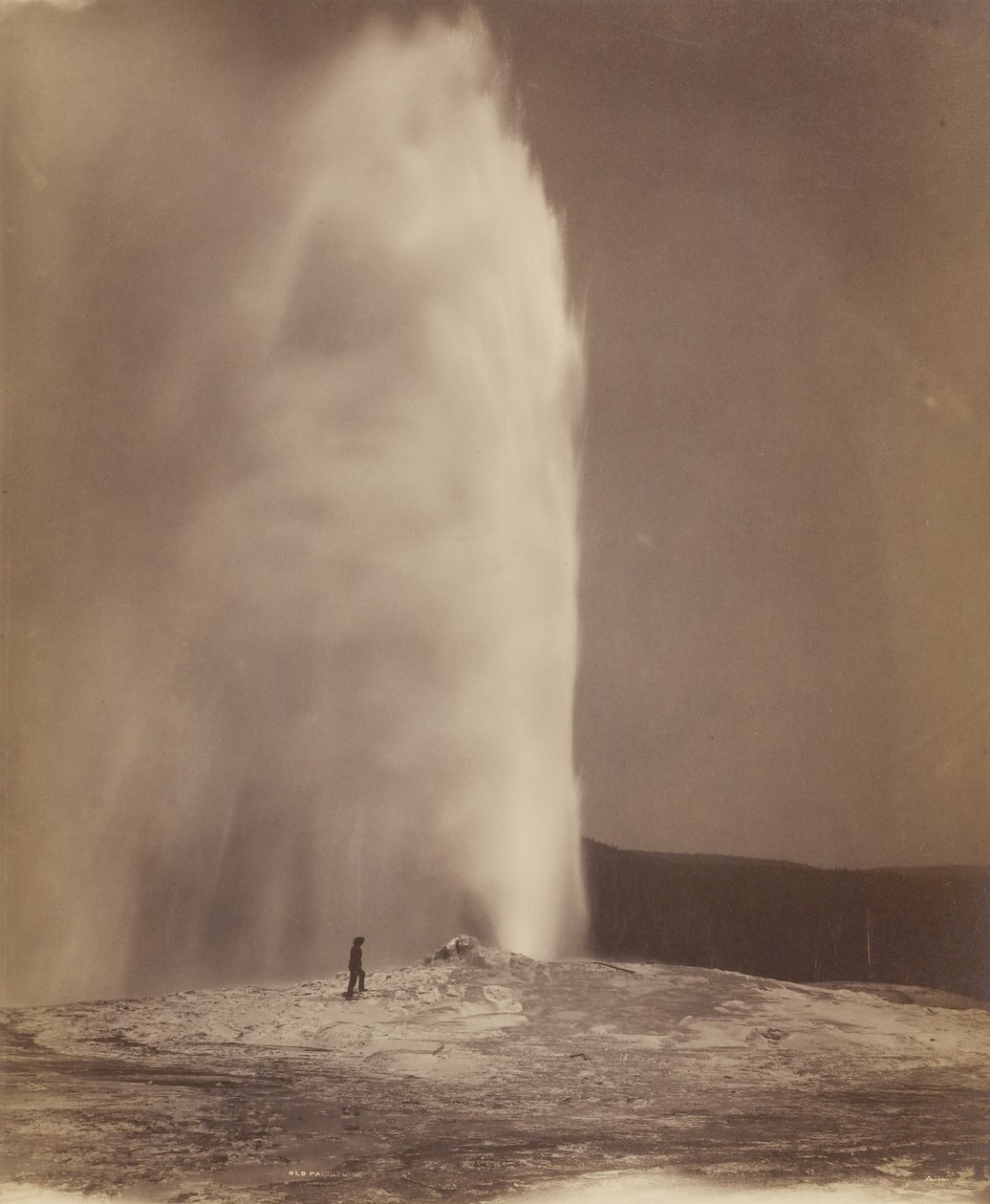 Old Faithful by William Henry Jackson