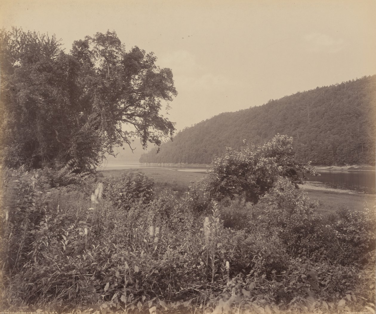 The Susquehanna At Wyalusing by William Herman Rau