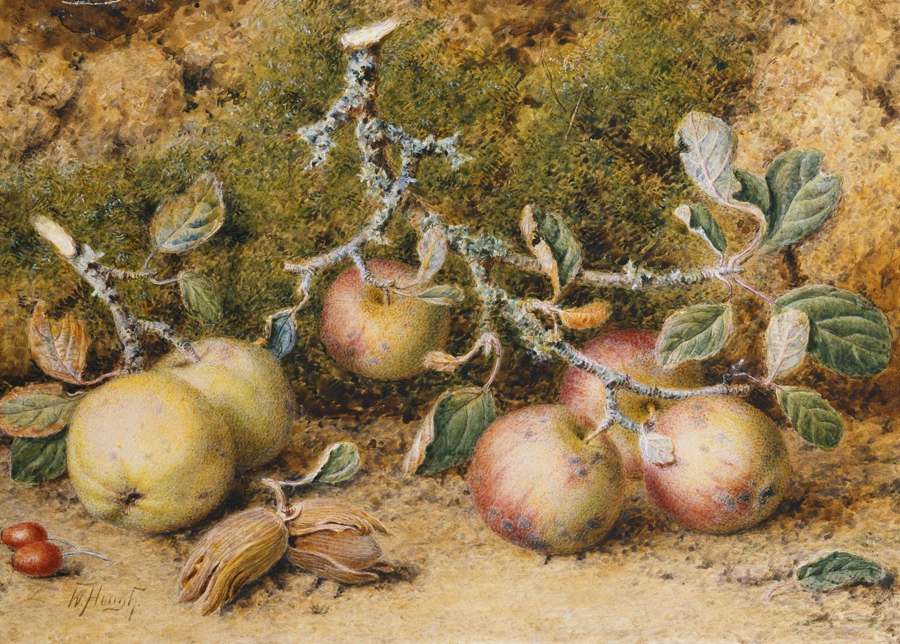 Still Life with Apples, Hazelnuts and Rosehips by William Hough