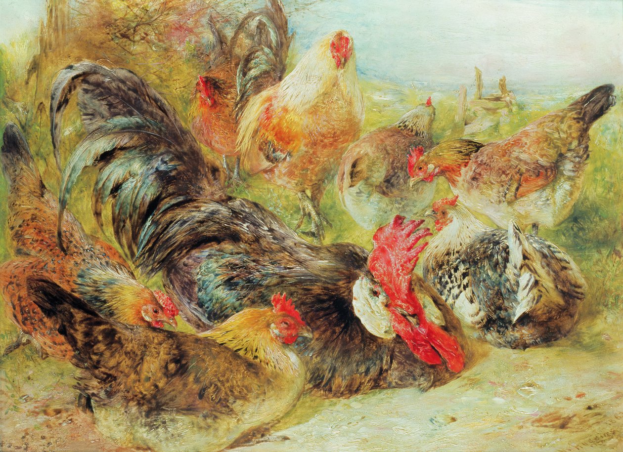 Poultry by William Huggins