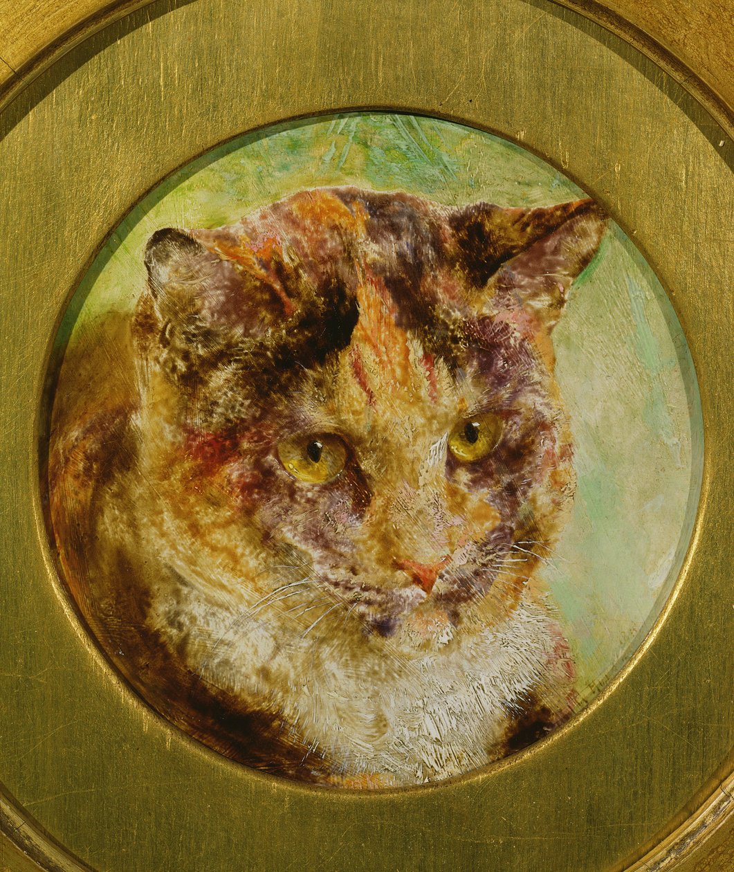 Study of a Tortoiseshell Cat by William Huggins