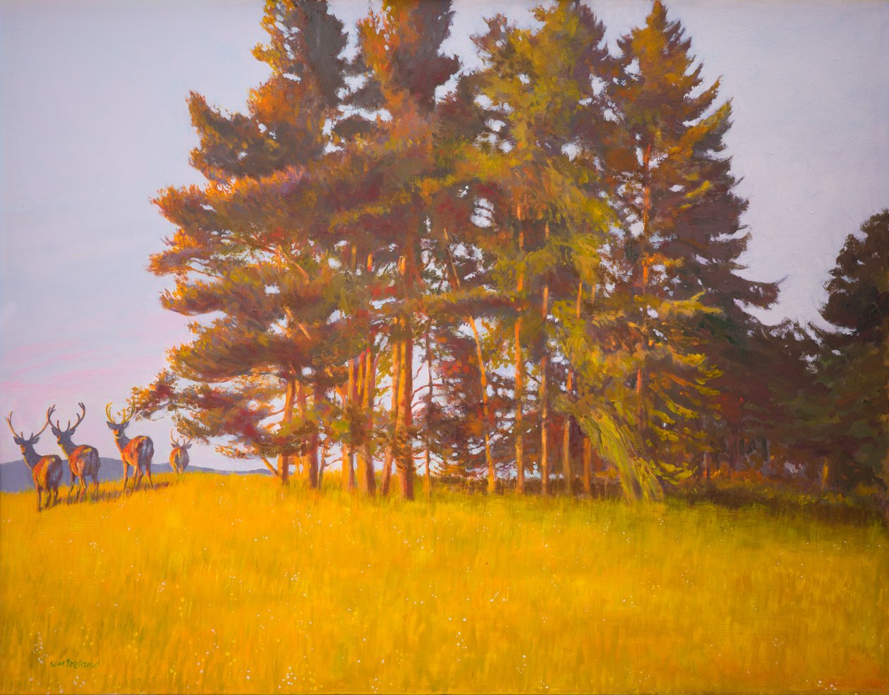 View from the cabin by William Ireland