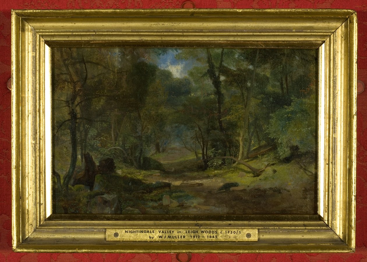 Nightingale Valley, c.1831 by William James Muller