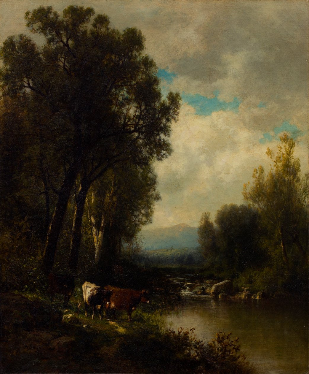 Cattle on the River by William M. Hart