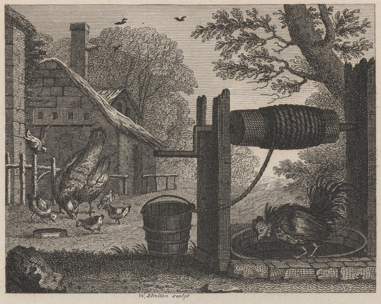 The Old Hen and the Cock by William Skelton