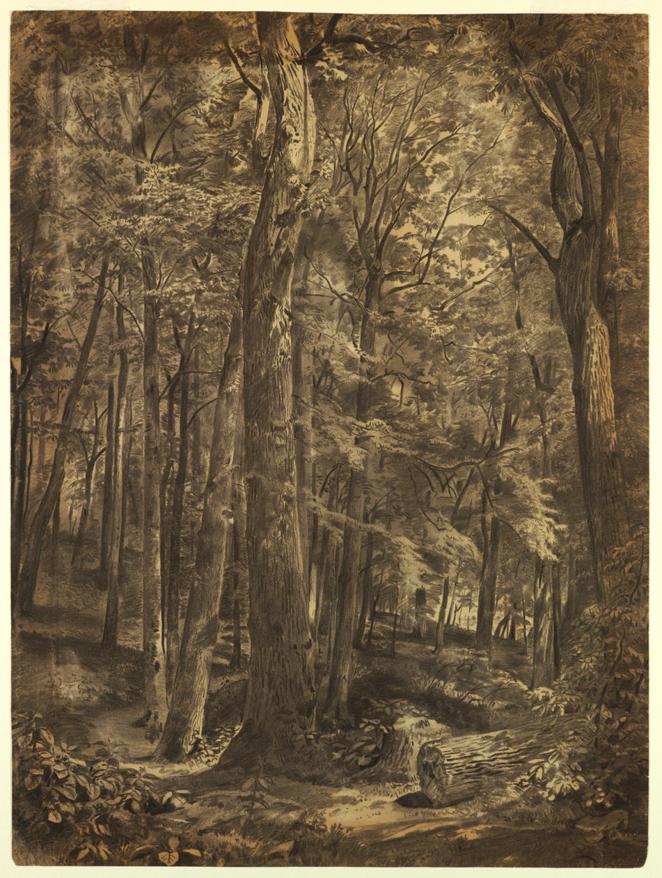 Study for 