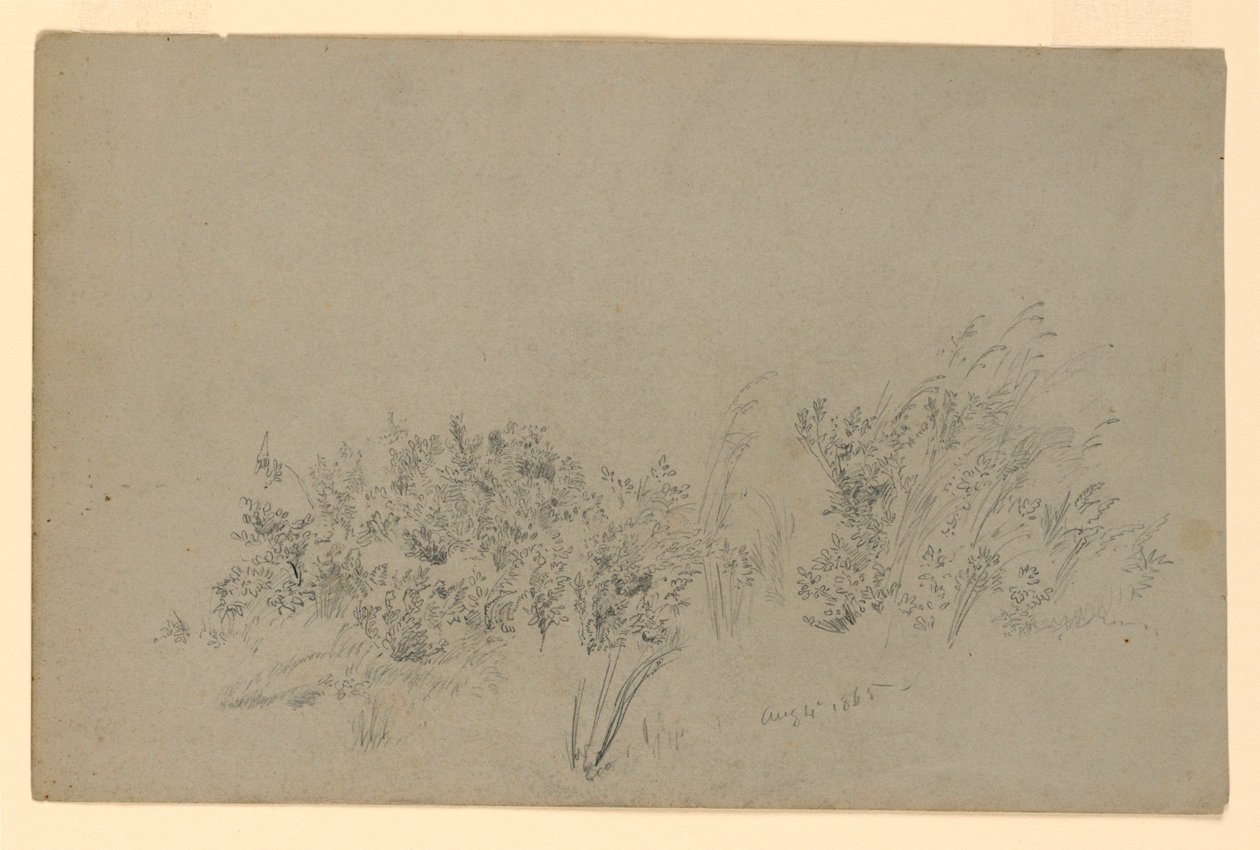 Study of Foliage by William Trost Richards