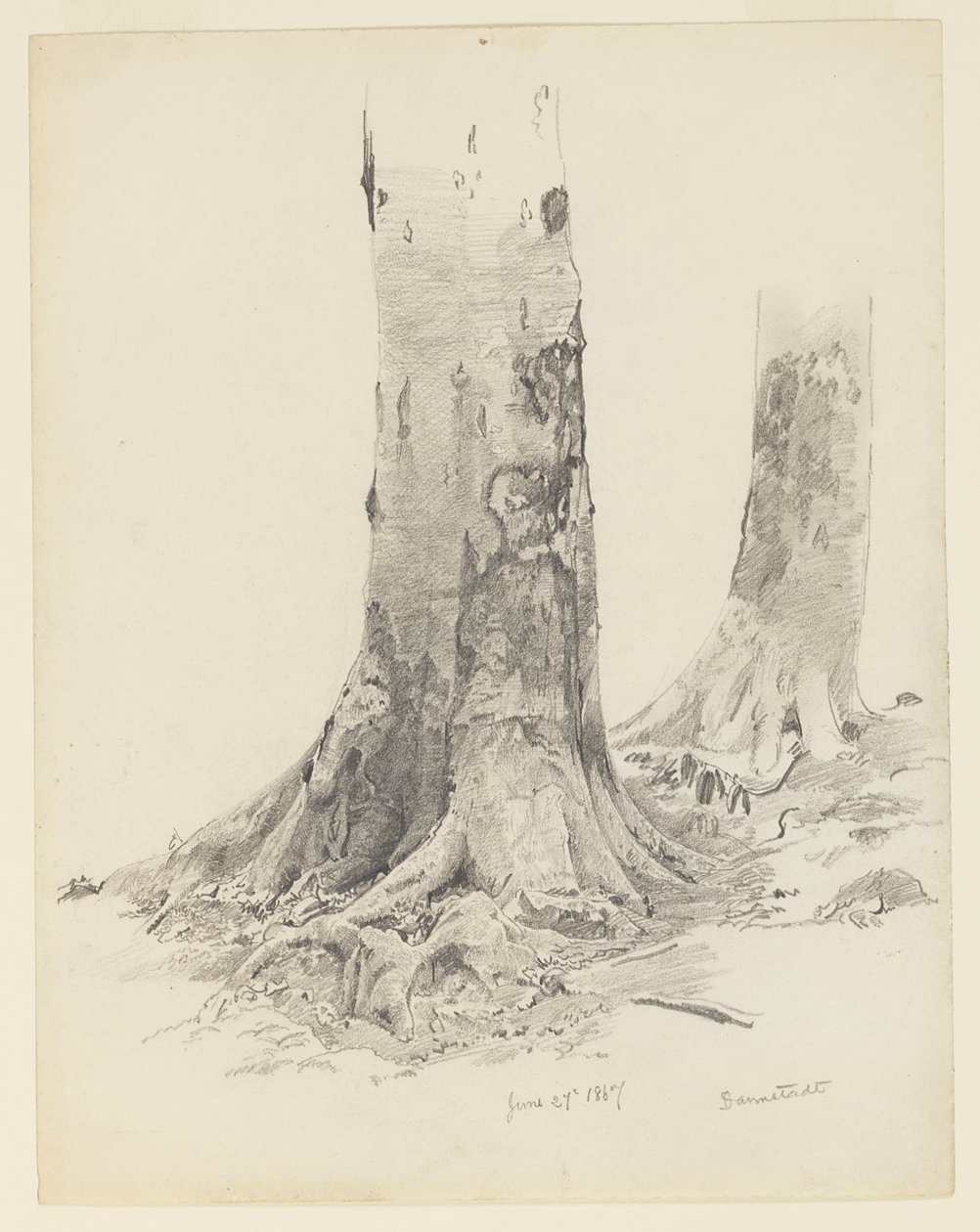 Tree Trunks, Darmstadt by William Trost Richards