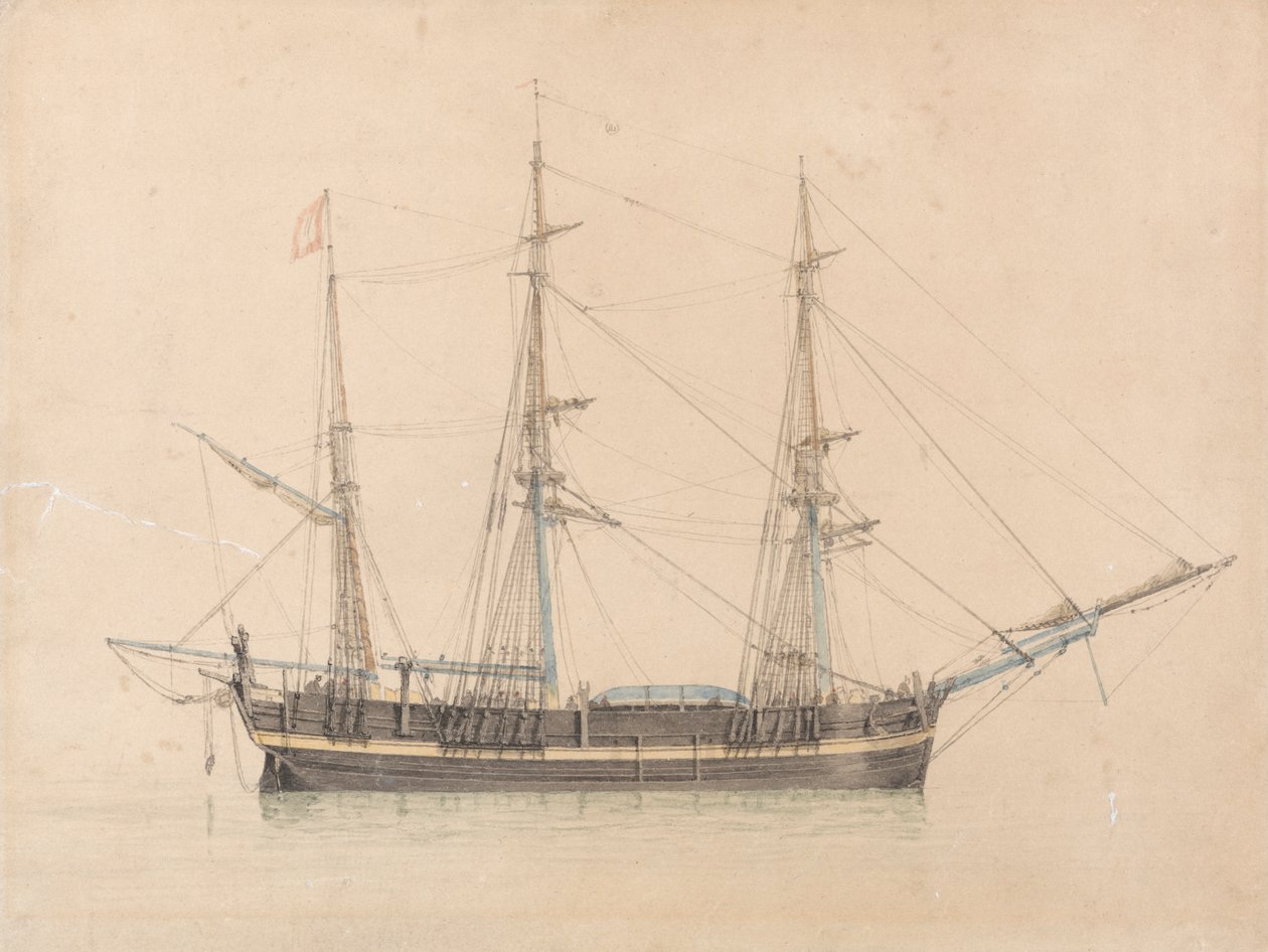 The Whaler "Truelove" of Hull by William Ward