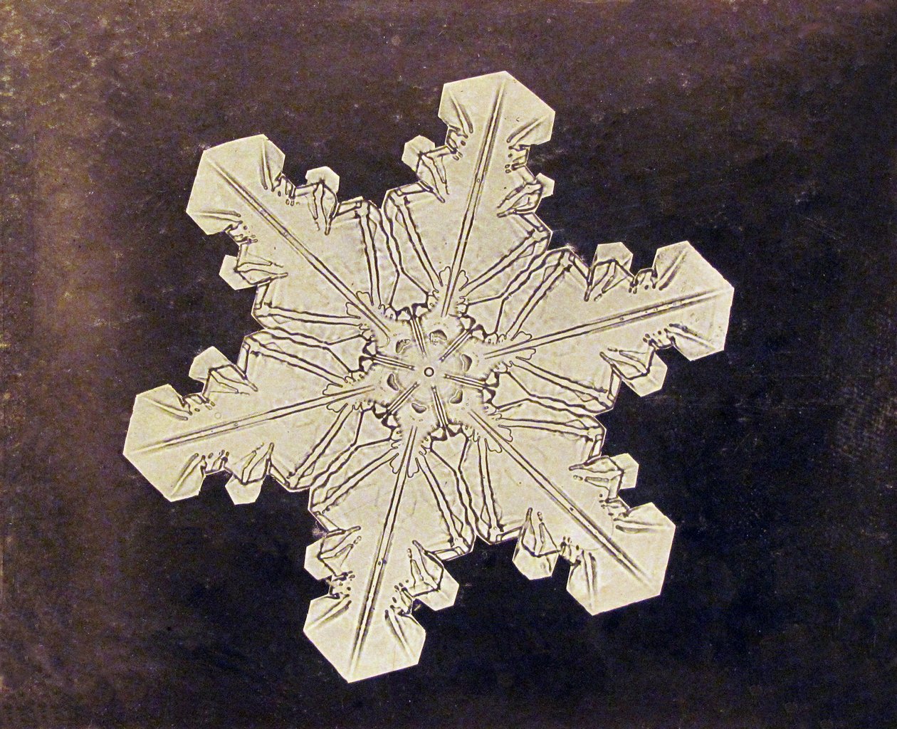 Study of a Snowflake by Wilson A. Bentley