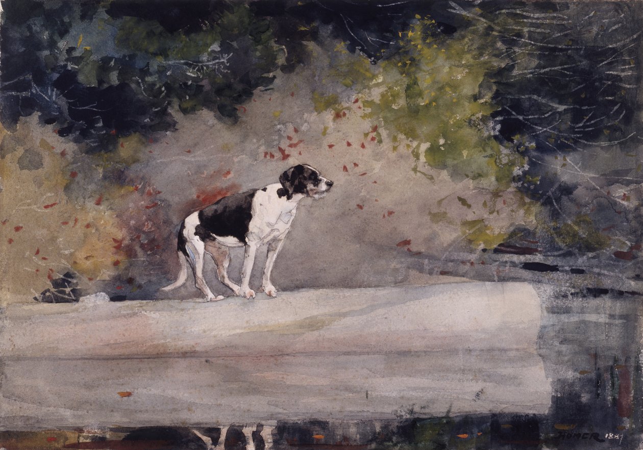 Dog on a Log by Winslow Homer