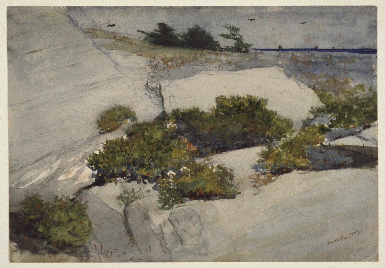 Maine Cliffs by Winslow Homer