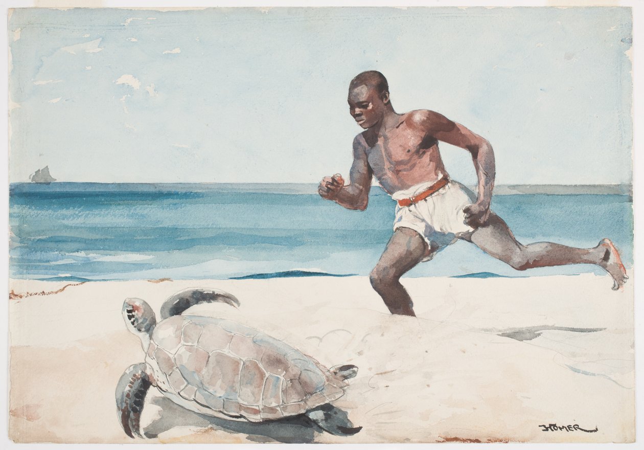 Rum Cay by Winslow Homer