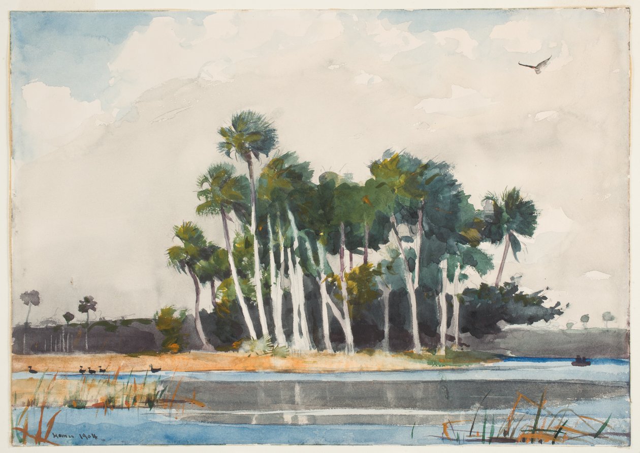 The Turkey Buzzard by Winslow Homer