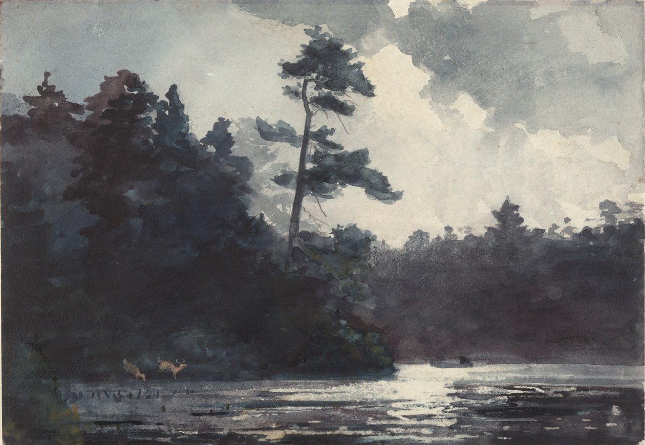 Adirondack Lake by Winslow Homer