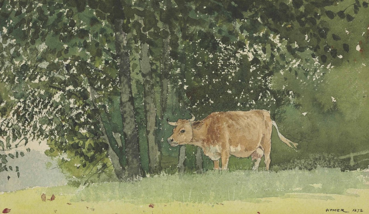 Cow in Pasture by Winslow Homer