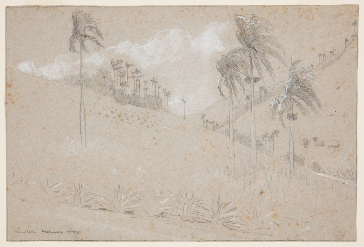 Cuban Hillside by Winslow Homer