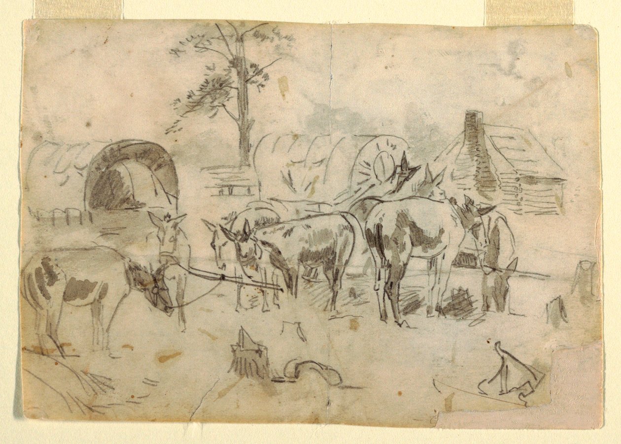 Resting Mules Tethered to Wagons, 1862 by Winslow Homer