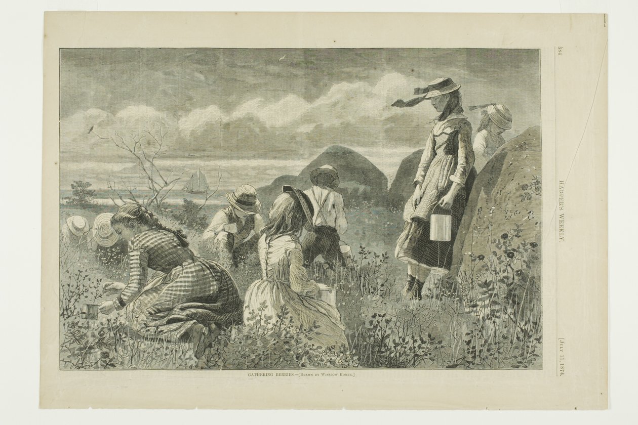 Gathering Berries by Winslow Homer